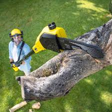 Best Lawn Irrigation Installation and Maintenance  in East Niles, CA
